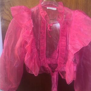 Sheer Pink Ruffled Blouse